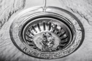 drain stopper
