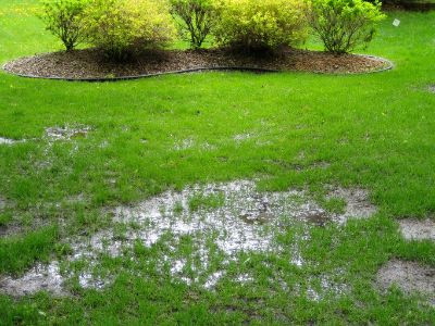 water puddles